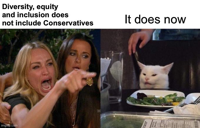 Woman Yelling At Cat Meme | Diversity, equity and inclusion does not include Conservatives It does now | image tagged in memes,woman yelling at cat | made w/ Imgflip meme maker