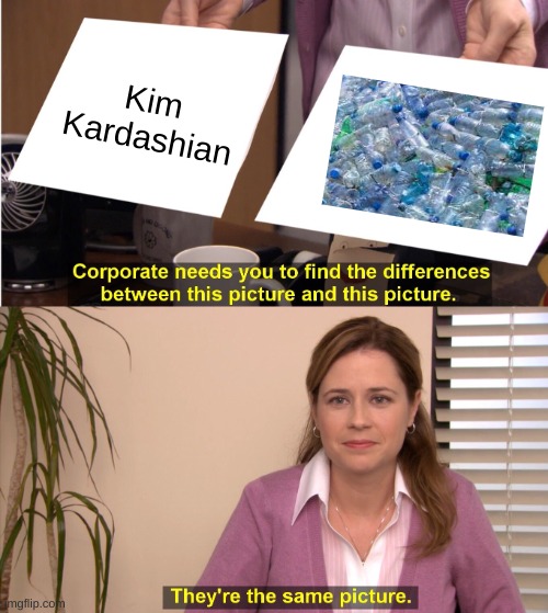 Upvote if you agree | Kim Kardashian | image tagged in memes,they're the same picture | made w/ Imgflip meme maker