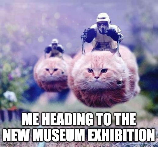 New Museum Exhibition Cats | ME HEADING TO THE NEW MUSEUM EXHIBITION | image tagged in storm trooper cats | made w/ Imgflip meme maker