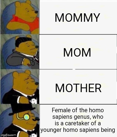 yes | MOMMY; MOM; MOTHER; Female of the homo sapiens genus, who is a caretaker of a younger homo sapiens being | image tagged in tuxedo winnie the pooh 4 panel | made w/ Imgflip meme maker