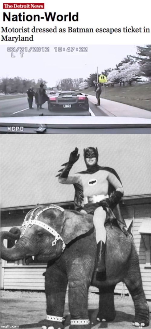 Dressed as Batman | image tagged in batman elephant,motorist,memes,news,maryland,meme | made w/ Imgflip meme maker