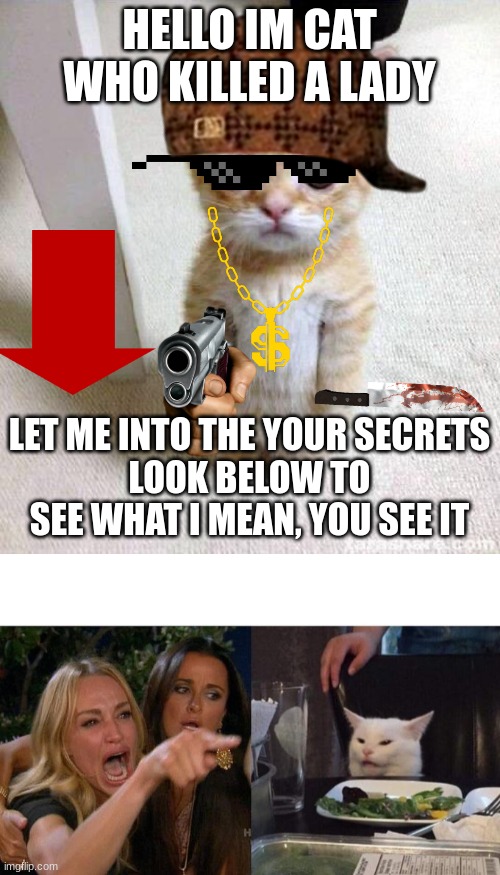 HELLO IM CAT WHO KILLED A LADY; LET ME INTO THE YOUR SECRETS
LOOK BELOW TO SEE WHAT I MEAN, YOU SEE IT | image tagged in memes,cute cat | made w/ Imgflip meme maker