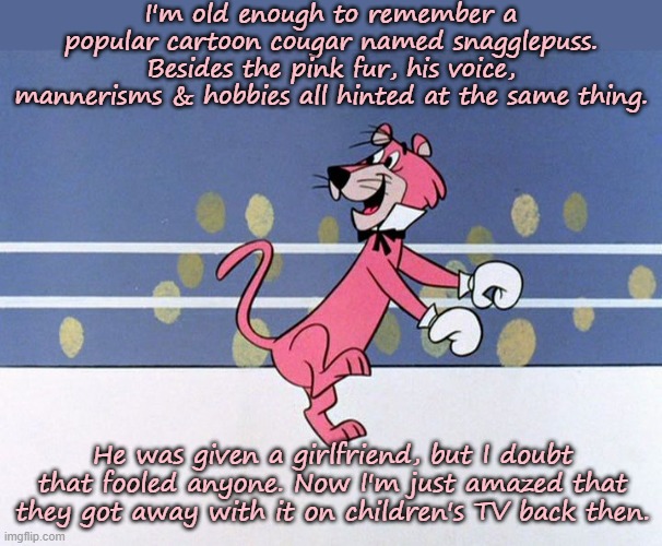 Heavens to Murgatroyd! | I'm old enough to remember a popular cartoon cougar named snagglepuss. Besides the pink fur, his voice, mannerisms & hobbies all hinted at the same thing. He was given a girlfriend, but I doubt that fooled anyone. Now I'm just amazed that they got away with it on children's TV back then. | image tagged in snagglepuss box,i dunno man seems kinda gay to me,captain obvious,lgbt,classic cartoons | made w/ Imgflip meme maker