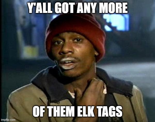 dave chappelle | Y'ALL GOT ANY MORE; OF THEM ELK TAGS | image tagged in dave chappelle | made w/ Imgflip meme maker