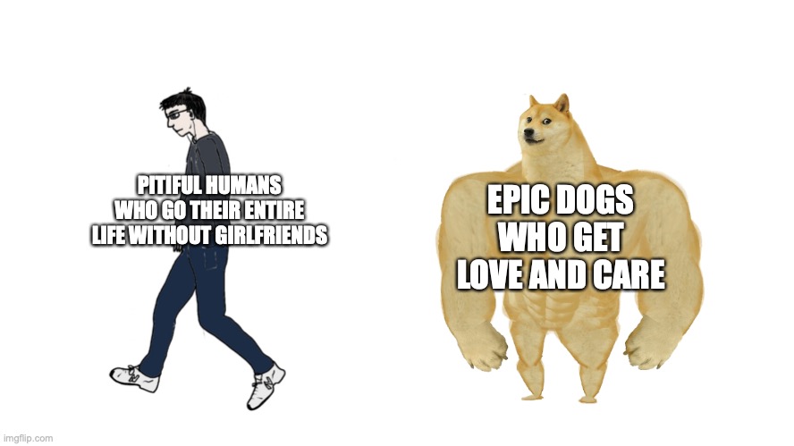 Chad Vs Virgin | PITIFUL HUMANS WHO GO THEIR ENTIRE LIFE WITHOUT GIRLFRIENDS EPIC DOGS WHO GET LOVE AND CARE | image tagged in chad vs virgin | made w/ Imgflip meme maker