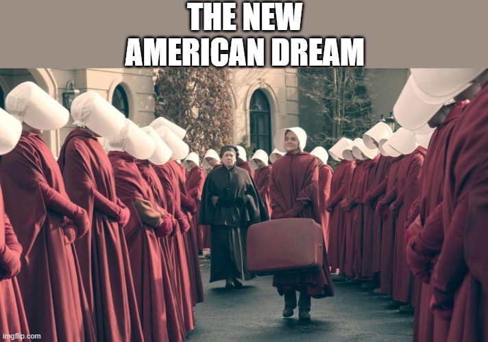 The new american dream | THE NEW AMERICAN DREAM | image tagged in abortion | made w/ Imgflip meme maker