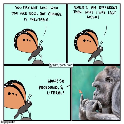 image tagged in comics,wholesome,memes,butterfly,gorilla | made w/ Imgflip meme maker