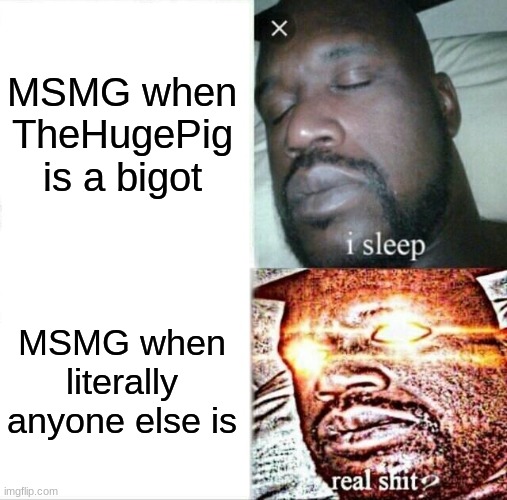 Sleeping Shaq Meme | MSMG when TheHugePig is a bigot MSMG when literally anyone else is | image tagged in memes,sleeping shaq | made w/ Imgflip meme maker