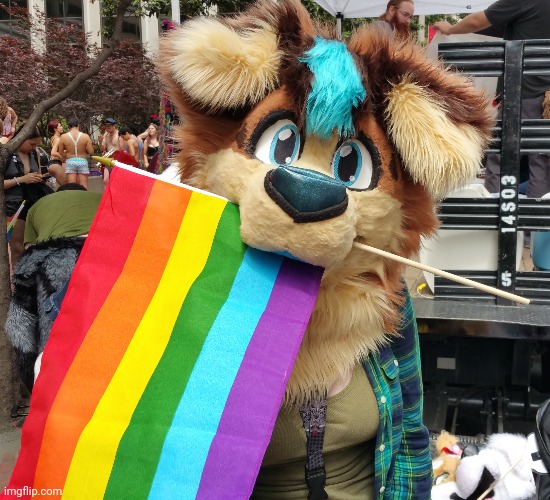 Found this on Google | image tagged in furry,lgbtq,pride,cute,wholesome | made w/ Imgflip meme maker