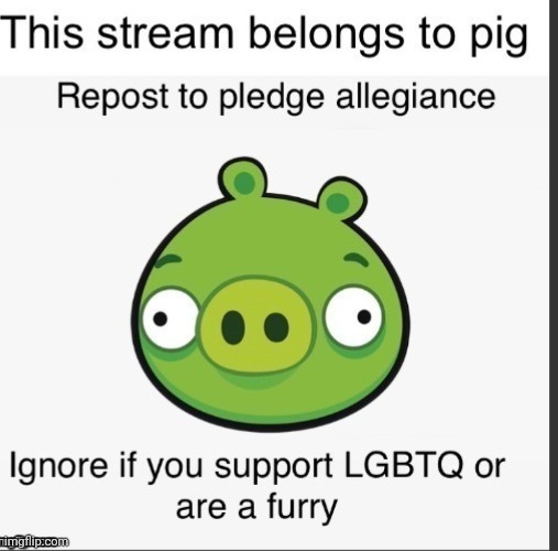 i played the hell outta bad piggies when i was younger | made w/ Imgflip meme maker