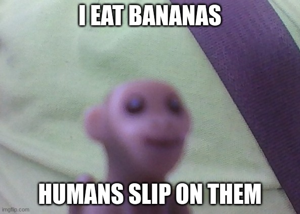 wise monkey |  I EAT BANANAS; HUMANS SLIP ON THEM | image tagged in monkey,memes,wise man | made w/ Imgflip meme maker
