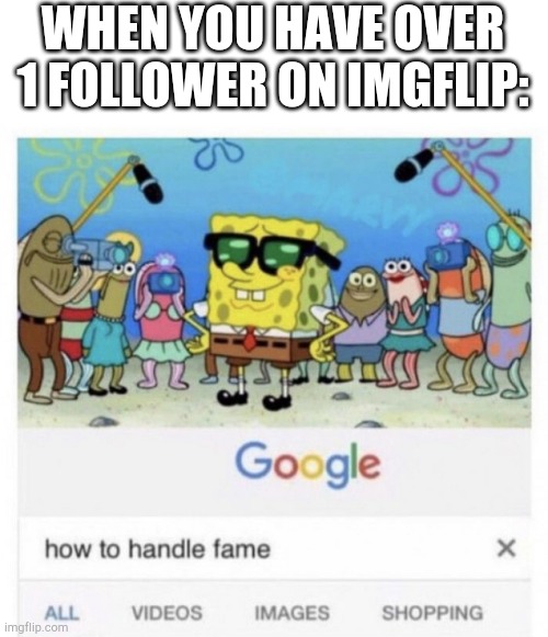 Tr lue | WHEN YOU HAVE OVER 1 FOLLOWER ON IMGFLIP: | image tagged in how to handle fame | made w/ Imgflip meme maker