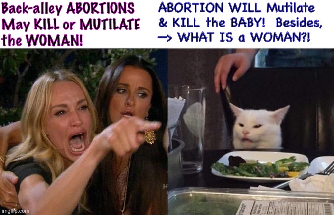 Screaming Crying Ranting —alone— makes it a Valid Argument | Back-alley ABORTIONS
May KILL or MUTILATE
the WOMAN! ABORTION WILL Mutilate
& KILL the BABY!  Besides, 
—> WHAT IS a WOMAN?! | image tagged in memes,woman yelling at cat,they want to kill baby humans,they want to end families,kiss my ass leftists | made w/ Imgflip meme maker