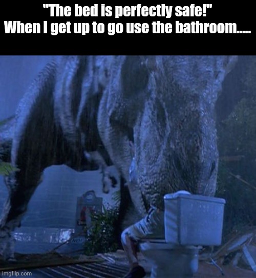 Jurassic Park T-Rex | "The bed is perfectly safe!"
When I get up to go use the bathroom..... | image tagged in jurassic park t-rex | made w/ Imgflip meme maker