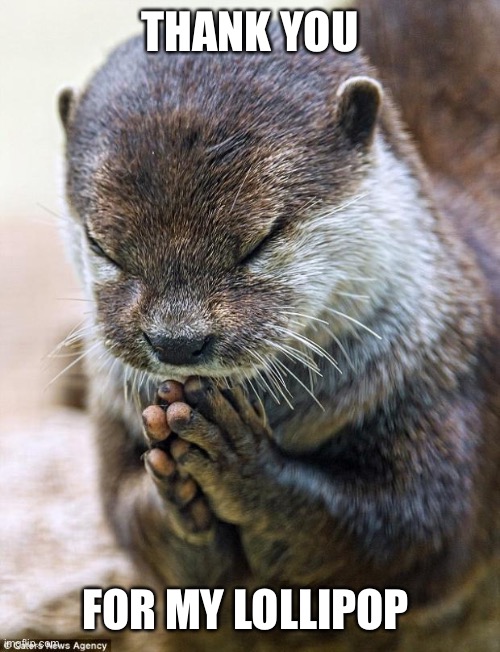 Thank you Lord Otter | THANK YOU FOR MY LOLLIPOP | image tagged in thank you lord otter | made w/ Imgflip meme maker