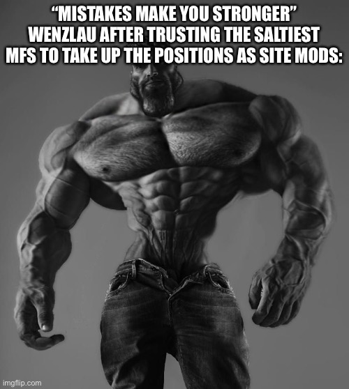 GigaChad | “MISTAKES MAKE YOU STRONGER”
WENZLAU AFTER TRUSTING THE SALTIEST MFS TO TAKE UP THE POSITIONS AS SITE MODS: | image tagged in gigachad | made w/ Imgflip meme maker