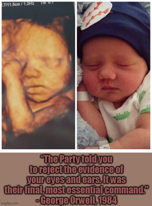 Most of you abortion supporters do know better- you're just plain evil. |  “The Party told you to reject the evidence of your eyes and ears. It was their final, most essential command."
- George Orwell, 1984 | image tagged in abortion is murder,evil,murder,life | made w/ Imgflip meme maker