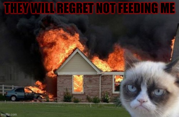 Burn Kitty |  THEY WILL REGRET NOT FEEDING ME | image tagged in memes,burn kitty,grumpy cat | made w/ Imgflip meme maker