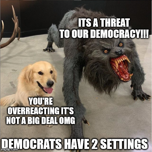 Dog vs Werewolf | ITS A THREAT TO OUR DEMOCRACY!!! YOU'RE OVERREACTING IT'S NOT A BIG DEAL OMG; DEMOCRATS HAVE 2 SETTINGS | image tagged in dog vs werewolf,democrats,bipolar | made w/ Imgflip meme maker
