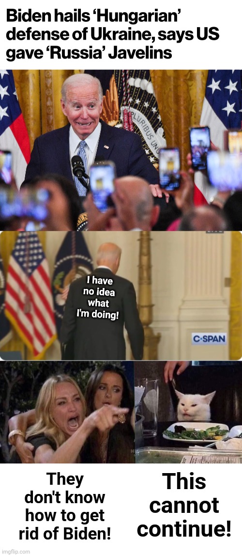 SOMETHING has to be done! | I have no idea what I'm doing! This cannot continue! They don't know how to get rid of Biden! | image tagged in biden's back,woman yelling at cat,joe biden,democrats,senile creep,25th amendment | made w/ Imgflip meme maker