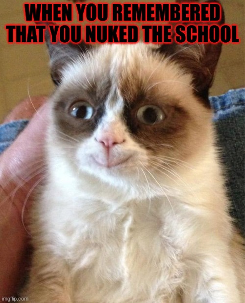 Grumpy Cat Happy | WHEN YOU REMEMBERED THAT YOU NUKED THE SCHOOL | image tagged in memes,grumpy cat happy,grumpy cat | made w/ Imgflip meme maker