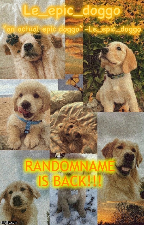 Doggo temp by doggo. Wait what that’s confusing | RANDOMNAME IS BACK!!! | image tagged in doggo temp by doggo wait what that s confusing | made w/ Imgflip meme maker