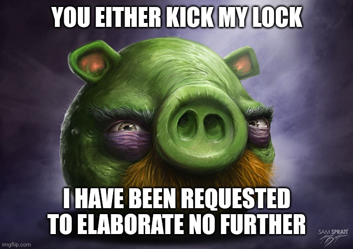 Realistic angry birds | YOU EITHER KICK MY LOCK; I HAVE BEEN REQUESTED TO ELABORATE NO FURTHER | image tagged in realistic angry birds | made w/ Imgflip meme maker