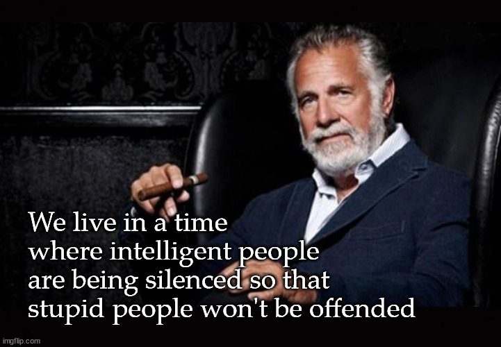 We live in a time  where intelligent people  are being silenced |  We live in a time 
where intelligent people 
are being silenced so that 
stupid people won't be offended | image tagged in the most interesting man in the world | made w/ Imgflip meme maker