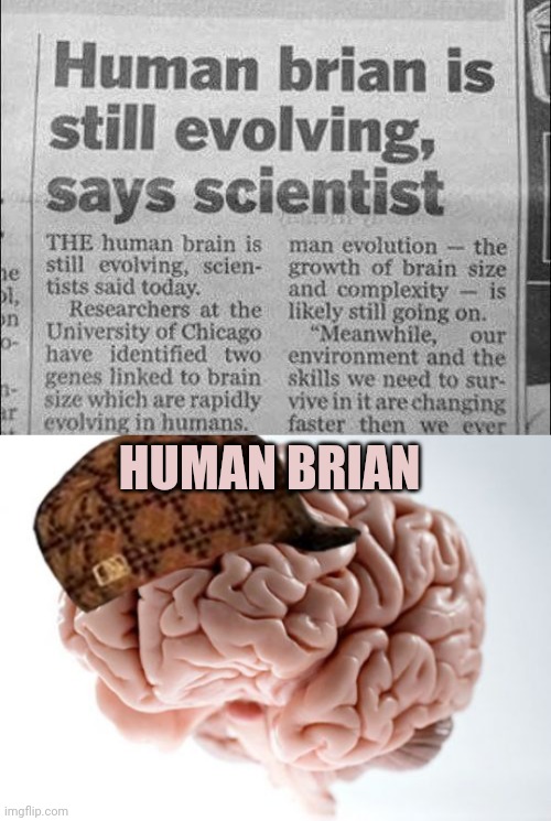 Human brain: Human Brian | HUMAN BRIAN | image tagged in memes,scumbag brain,brian,brain,news,meme | made w/ Imgflip meme maker
