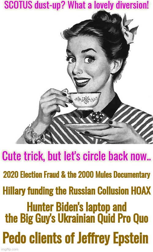 The list goes on and on.. The diversions are many.. | SCOTUS dust-up? What a lovely diversion! Cute trick, but let's circle back now.. 2020 Election Fraud & the 2000 Mules Documentary; Hillary funding the Russian Collusion HOAX; Hunter Biden's laptop and the Big Guy's Ukrainian Quid Pro Quo; Pedo clients of Jeffrey Epstein | image tagged in 50s woman,treason,criminal minds | made w/ Imgflip meme maker