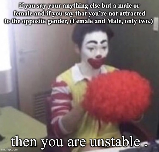i’m a trans people slammer | if you say your anything else but a male or female and if you say that you’re not attracted to the opposite gender, (Female and Male, only two.); then you are unstable . | image tagged in me asf | made w/ Imgflip meme maker