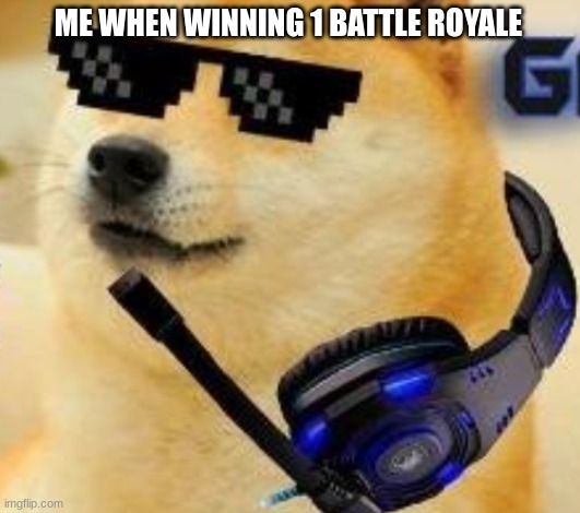 Me when winning 1 battle royal be like.. | ME WHEN WINNING 1 BATTLE ROYALE | image tagged in gamer doge | made w/ Imgflip meme maker