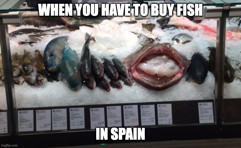 Fish in Spain | WHEN YOU HAVE TO BUY FISH; IN SPAIN | image tagged in fish,spain | made w/ Imgflip meme maker