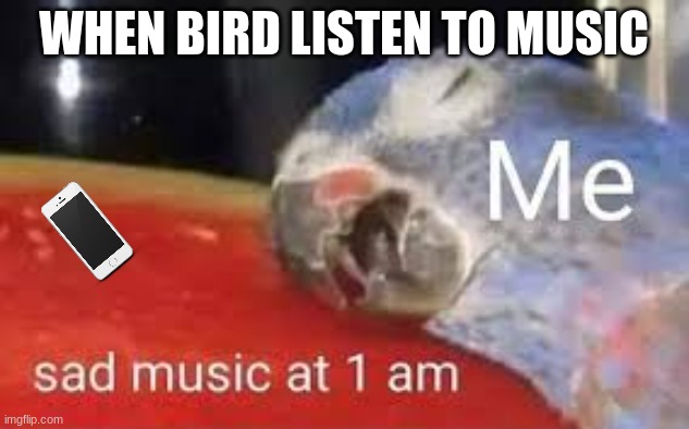 LOL | WHEN BIRD LISTEN TO MUSIC | image tagged in 1 am | made w/ Imgflip meme maker