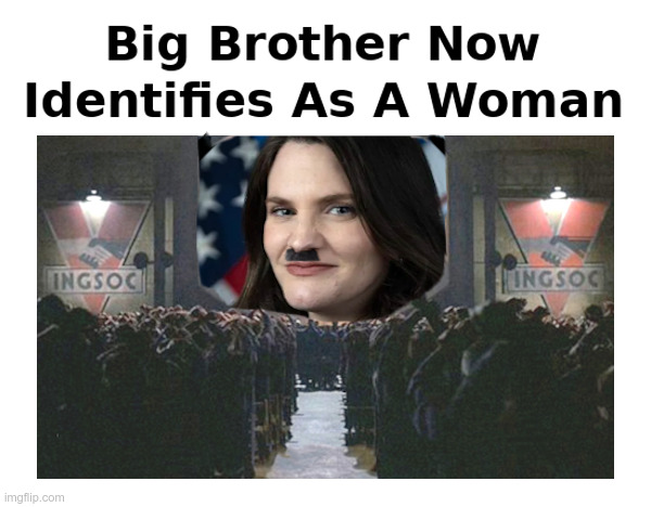 Big Brother Now Identifies As A Woman | image tagged in big brother,big sister,nina jankowicz,1984,government,censorship | made w/ Imgflip meme maker