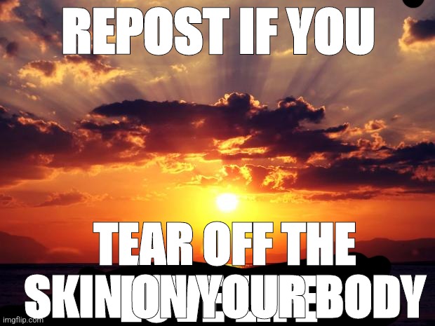 Sunset | REPOST IF YOU; TEAR OFF THE SKIN ON YOUR BODY; LOVE LIFE | image tagged in sunset | made w/ Imgflip meme maker