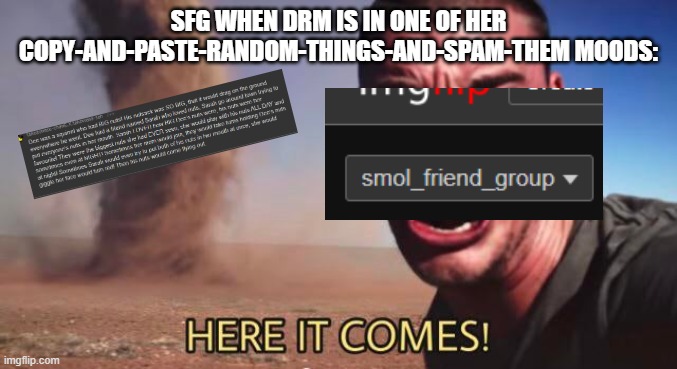 HERE IT COMES!!!! | SFG WHEN DRM IS IN ONE OF HER COPY-AND-PASTE-RANDOM-THINGS-AND-SPAM-THEM MOODS: | image tagged in here it comes | made w/ Imgflip meme maker