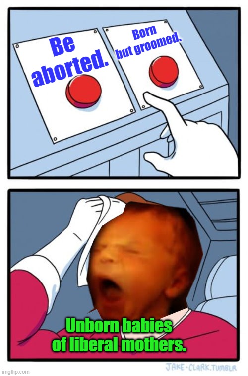 Sadly, the reality is, this kid never had a choice. | Born but groomed. Be aborted. Unborn babies of liberal mothers. | image tagged in democrats,evil,abortion,groomers,left,liberals | made w/ Imgflip meme maker