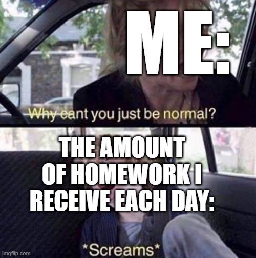 Why can't you just be normal!?! | ME:; THE AMOUNT OF HOMEWORK I RECEIVE EACH DAY: | image tagged in why can't you just be normal | made w/ Imgflip meme maker