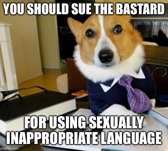 Lawyer Dog | YOU SHOULD SUE THE BASTARD FOR USING SEXUALLY INAPPROPRIATE LANGUAGE | image tagged in lawyer dog | made w/ Imgflip meme maker