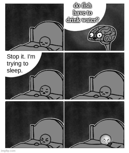 stop it im trying to sleep meme | do fish have to drink water? | image tagged in stop it im trying to sleep meme | made w/ Imgflip meme maker
