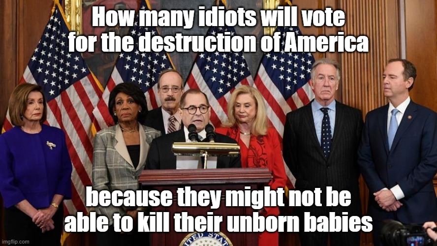 How many idiots? | How many idiots will vote for the destruction of America; because they might not be able to kill their unborn babies | image tagged in house democrats | made w/ Imgflip meme maker