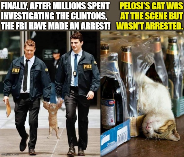 FBI takes Clinton's cat, Pelosi's cat drunk | FINALLY, AFTER MILLIONS SPENT
INVESTIGATING THE CLINTONS,
THE FBI HAVE MADE AN ARREST! PELOSI'S CAT WAS
AT THE SCENE BUT
WASN'T ARRESTED. | image tagged in political humor,hillary clinton,nancy pelosi,fbi investigation,arrest,cat | made w/ Imgflip meme maker