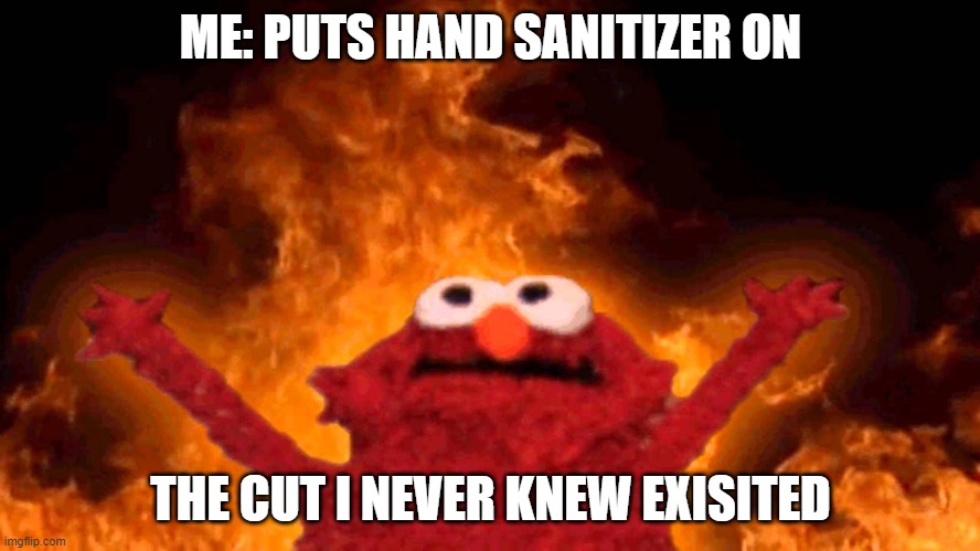 elmo fire | ME: PUTS HAND SANITIZER ON; THE CUT I NEVER KNEW EXISITED | image tagged in elmo fire | made w/ Imgflip meme maker