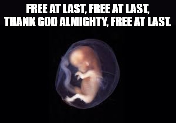 Roe v Wade | FREE AT LAST, FREE AT LAST, THANK GOD ALMIGHTY, FREE AT LAST. | image tagged in abortion | made w/ Imgflip meme maker