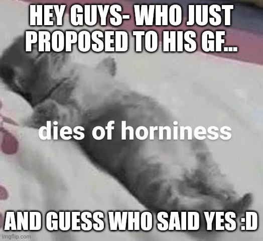 :D | HEY GUYS- WHO JUST PROPOSED TO HIS GF... AND GUESS WHO SAID YES :D | image tagged in dies of horniness | made w/ Imgflip meme maker