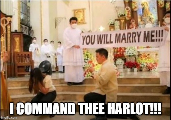 Must Be an Authoritarian Country | I COMMAND THEE HARLOT!!! | image tagged in you had one job | made w/ Imgflip meme maker