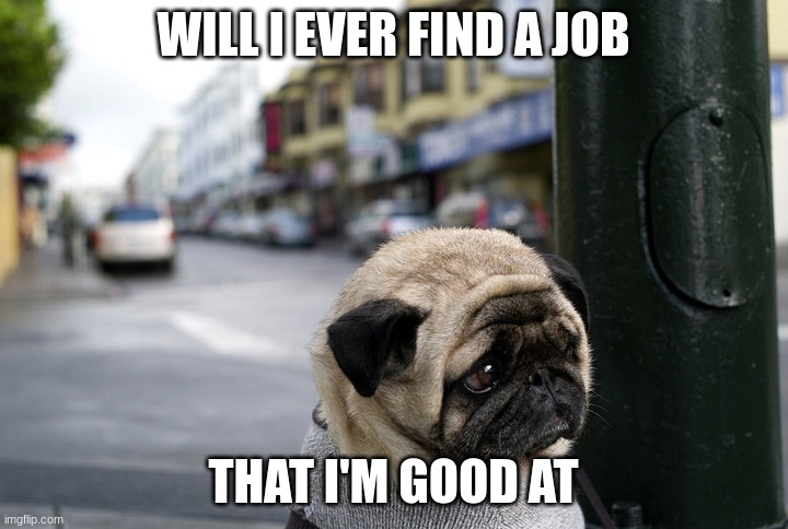 Sad Pug | WILL I EVER FIND A JOB; THAT I'M GOOD AT | image tagged in sad pug | made w/ Imgflip meme maker