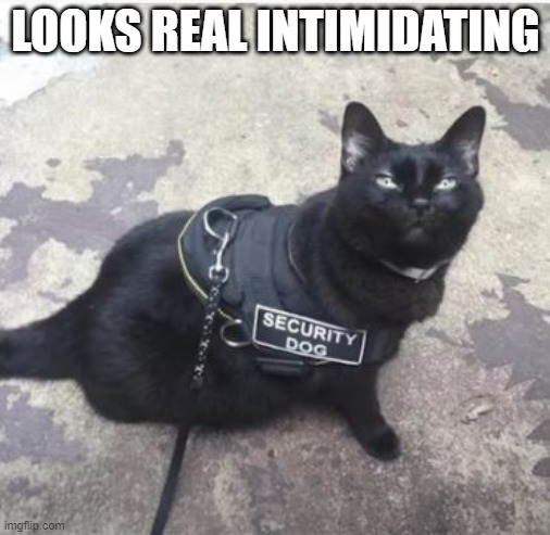 Security!!! | LOOKS REAL INTIMIDATING | image tagged in you had one job | made w/ Imgflip meme maker