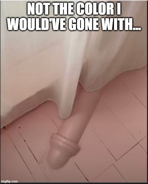 Pipe Issues | NOT THE COLOR I WOULD'VE GONE WITH... | image tagged in you had one job | made w/ Imgflip meme maker